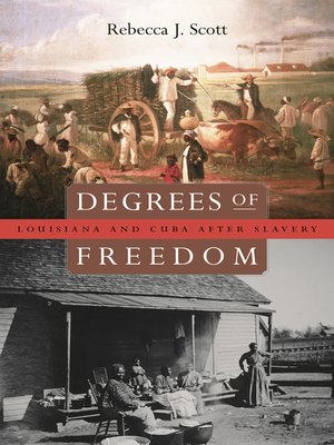 cover image of Degrees of Freedom